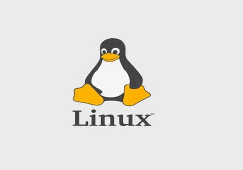 Bsp linux что это